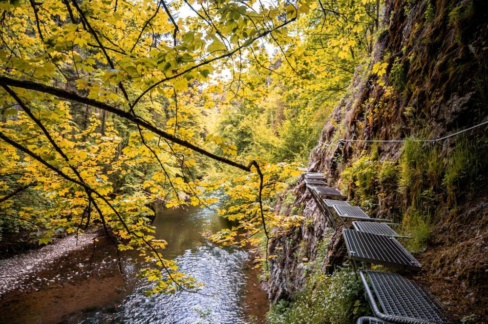 Turistická ubytovňa Spišské Tomášovce Exterior foto